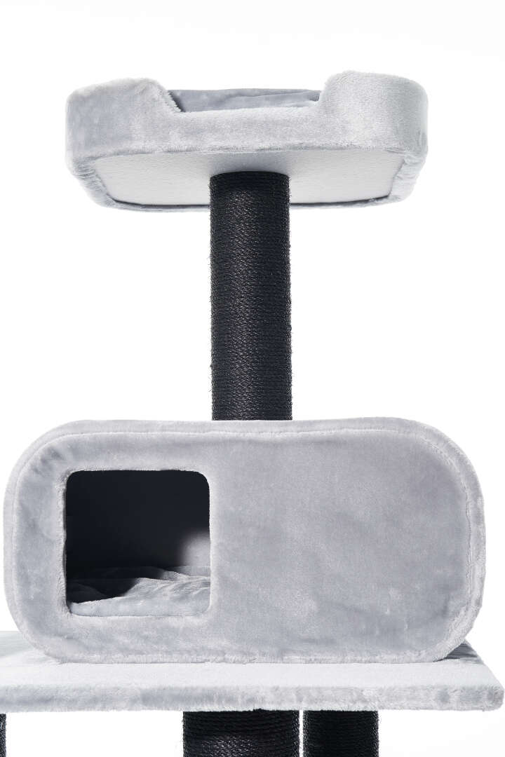 Nobby Kratzbaum Todor